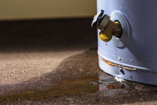 Best Flooded house restoration  in Sewalls Point, FL