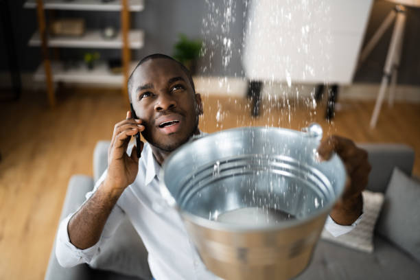  Sewalls Point, FL Water damage restoration Pros