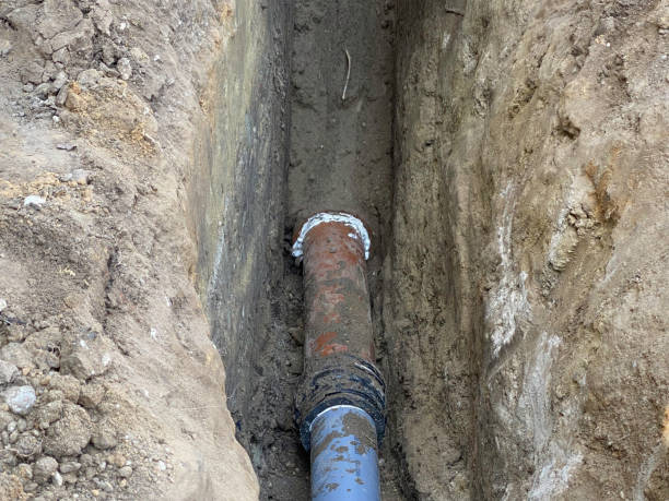 Best Flood restoration services  in Sewalls Point, FL