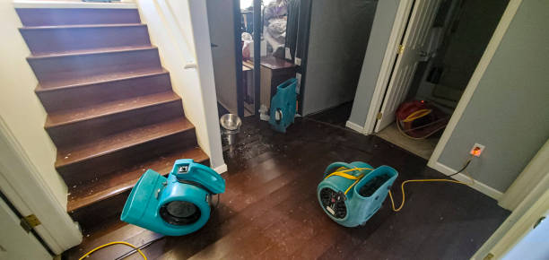 Best Flooded house restoration  in Sewalls Point, FL