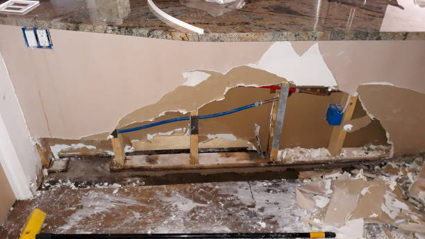 Best 24/7 water damage repair  in Sewalls Point, FL