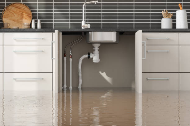 Best Water damage restoration near me  in Sewalls Point, FL