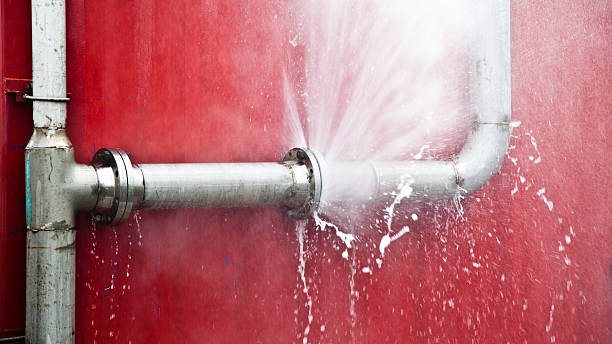 Best Water damage restoration near me  in Sewalls Point, FL